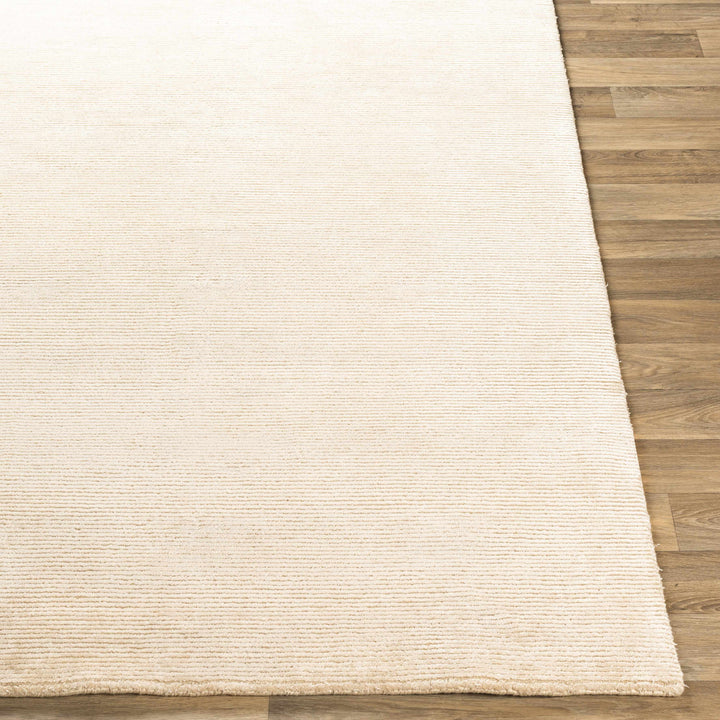 Atlas Beige Modern Style Hand Knotted Area Rug