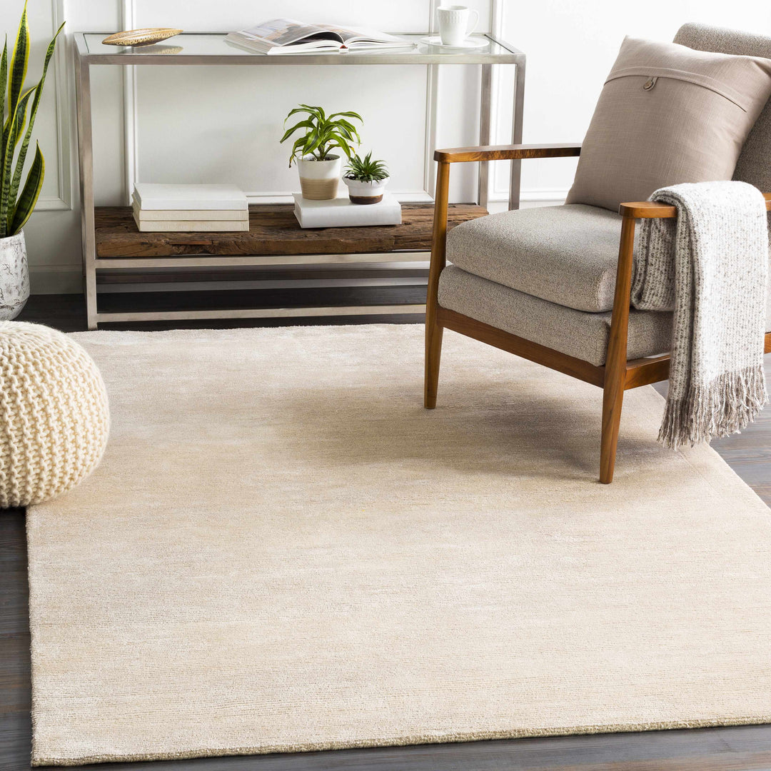 Atlas Beige Modern Style Hand Knotted Area Rug