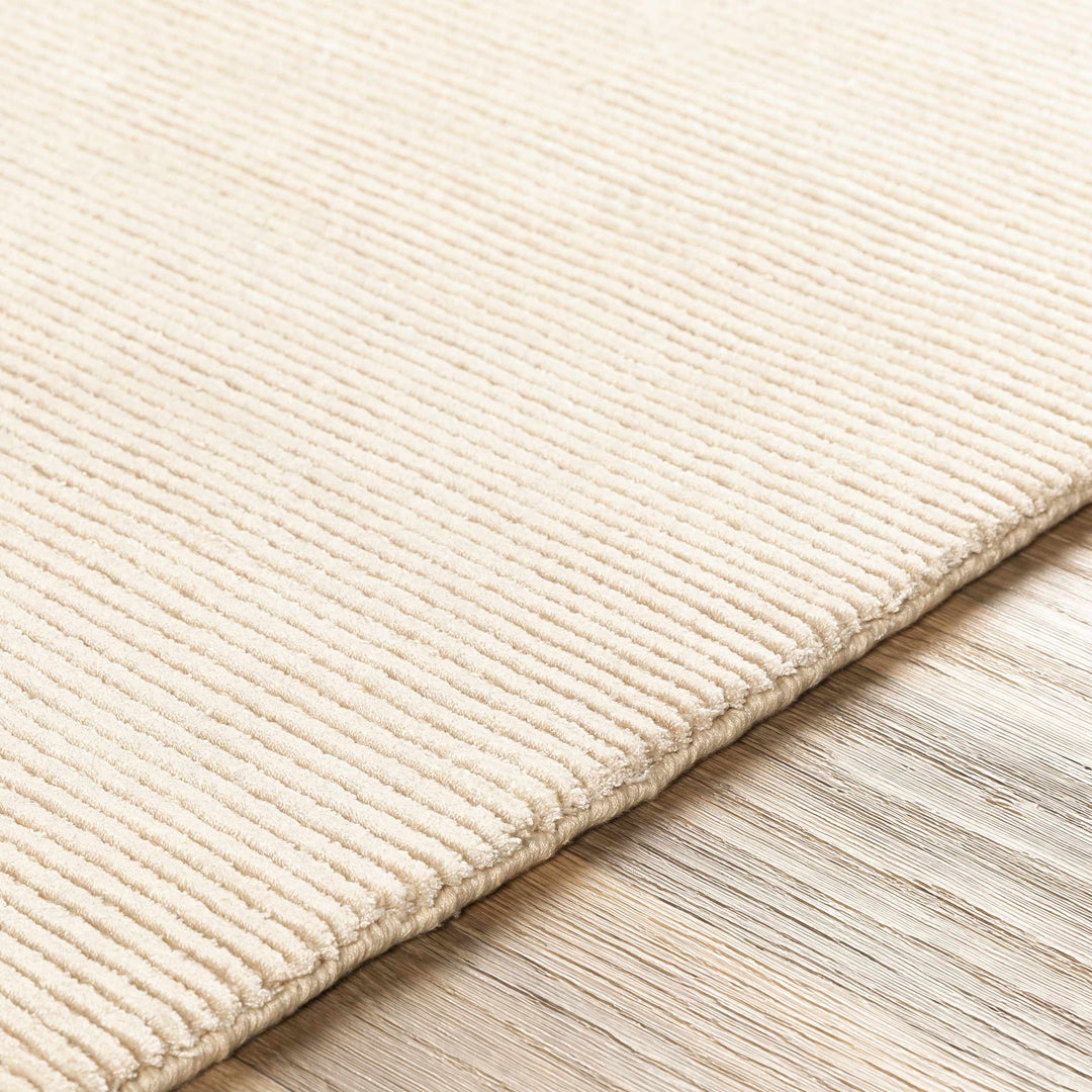 Atlas Beige Modern Style Hand Knotted Area Rug