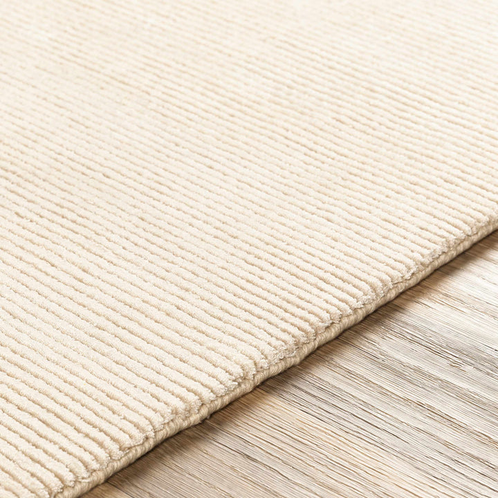 Atlas Beige Modern Style Hand Knotted Area Rug