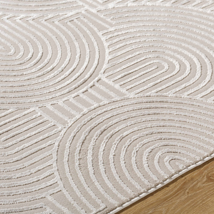 Aucoin Contemporary Geometrical Gray Washable Rug - The Rug Decor
