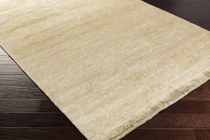 Aumsville Modern Style Beige Hand Woven Area Rug - The Rug Decor