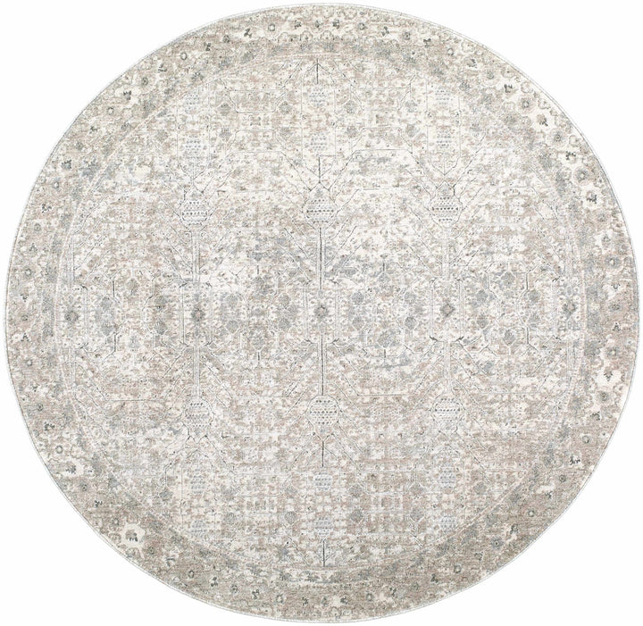 Avalyn Traditional Style Cream Rug - The Rug Decor