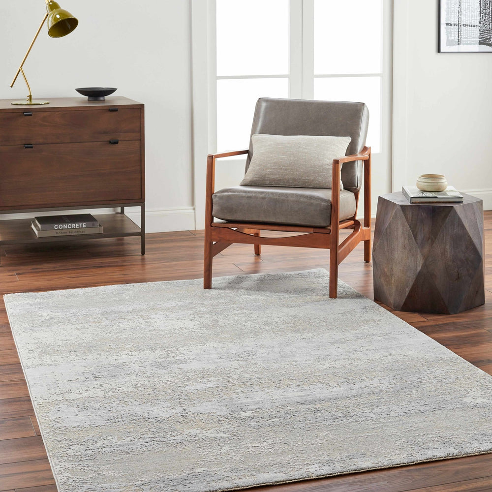 Avani Abstract Design Gray And Beige Rug - The Rug Decor