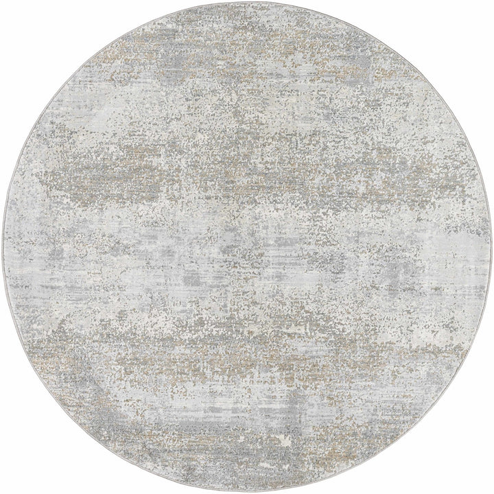 Avani Abstract Design Gray And Beige Rug - The Rug Decor