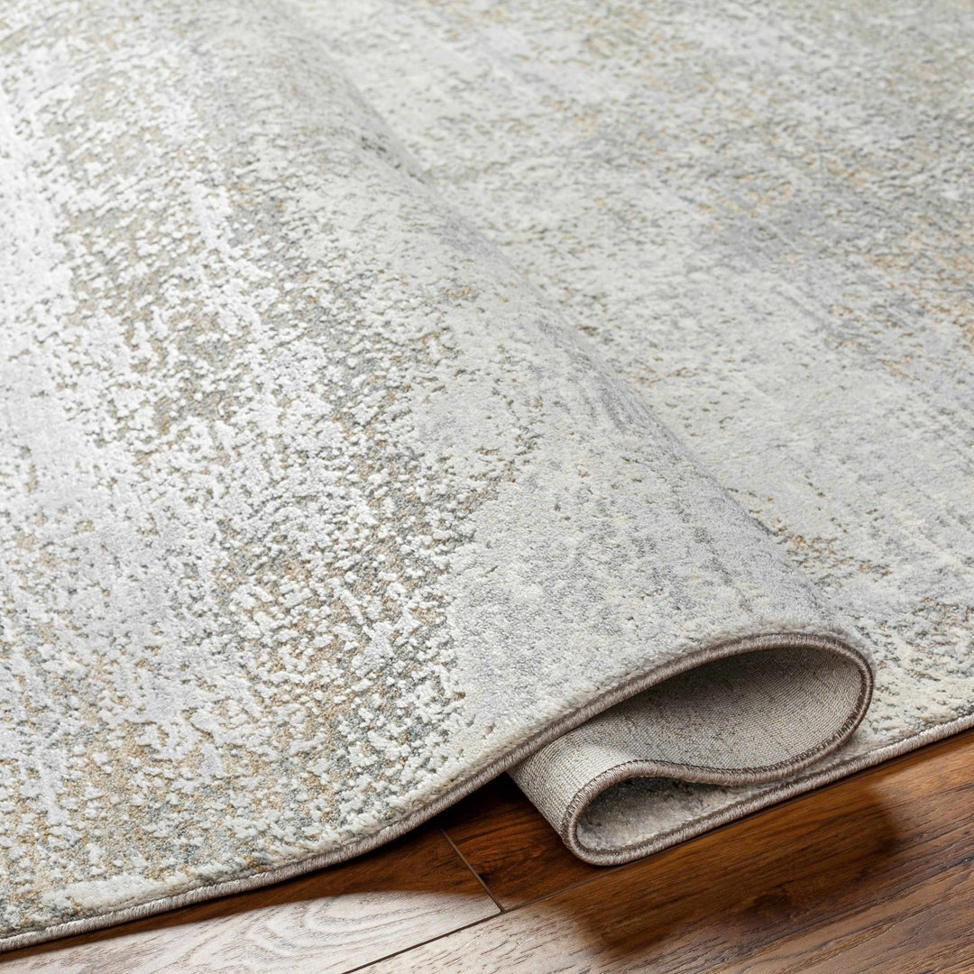 Avani Abstract Design Gray And Beige Rug - The Rug Decor