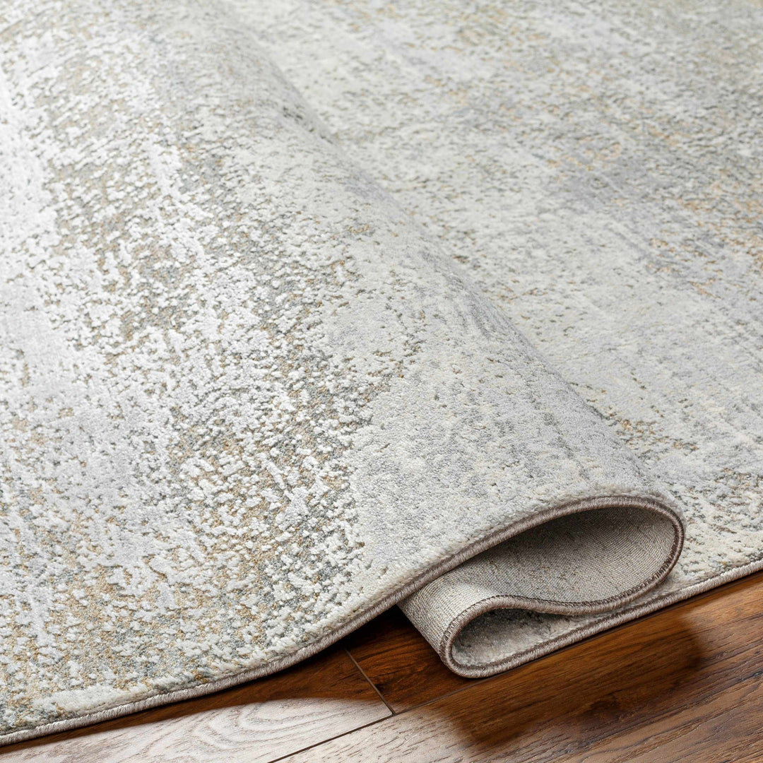 Avani Abstract Design Gray And Beige Rug