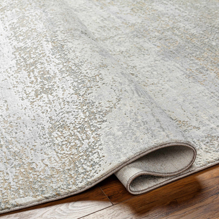 Avani Abstract Design Gray And Beige Rug