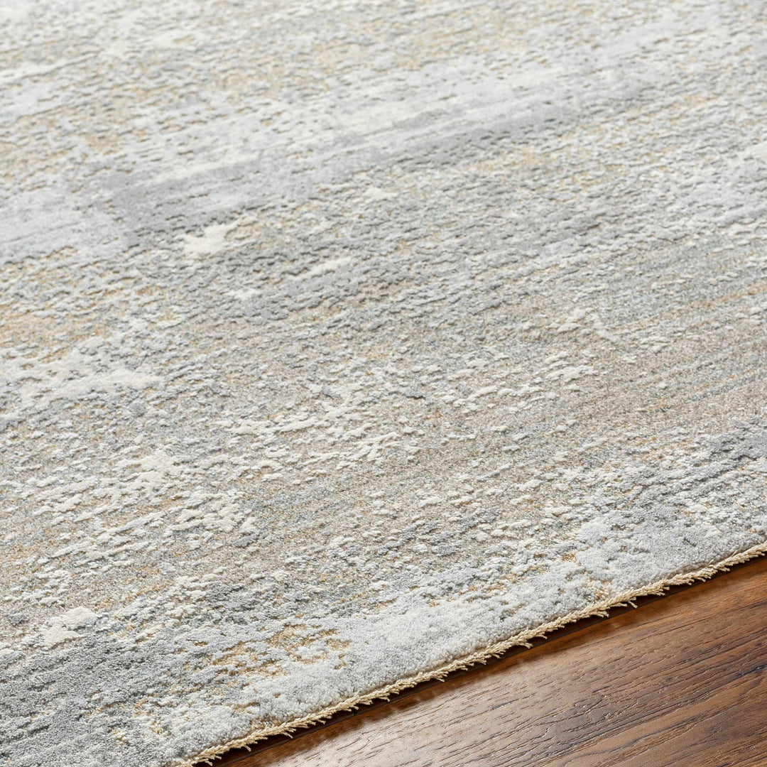 Avani Abstract Design Gray And Beige Rug