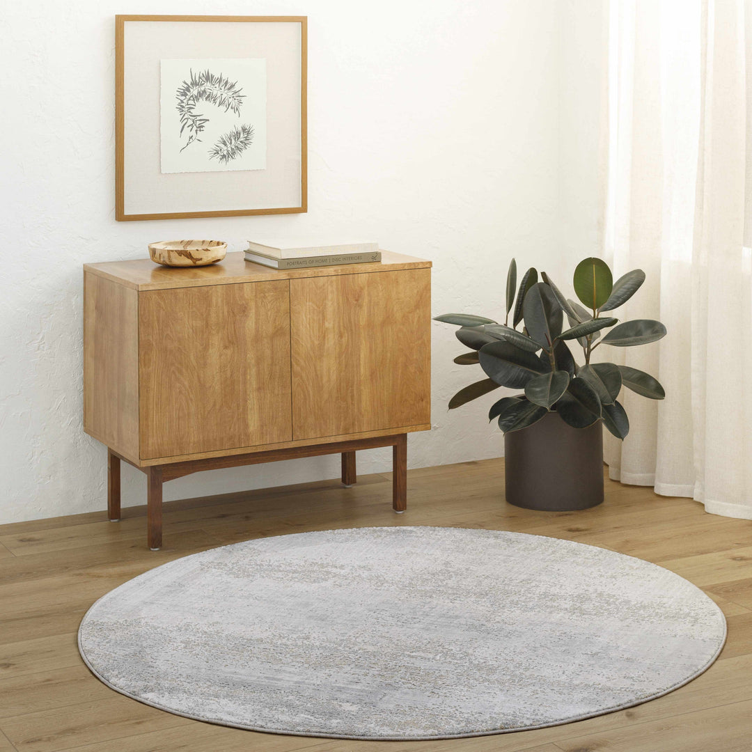 Avani Abstract Design Gray And Beige Rug