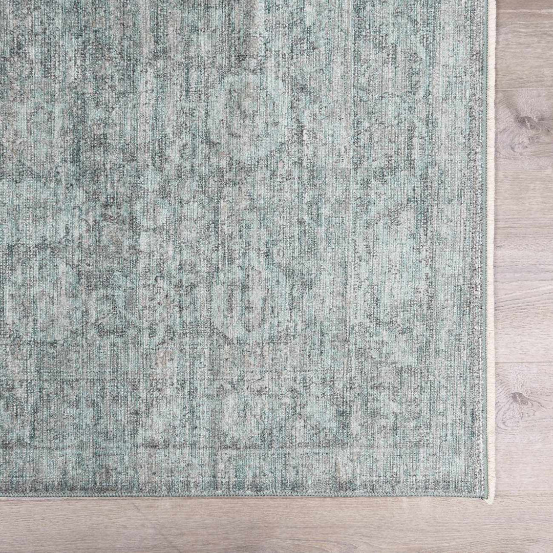 Aviana Traditional Style Gray Area Rug - The Rug Decor