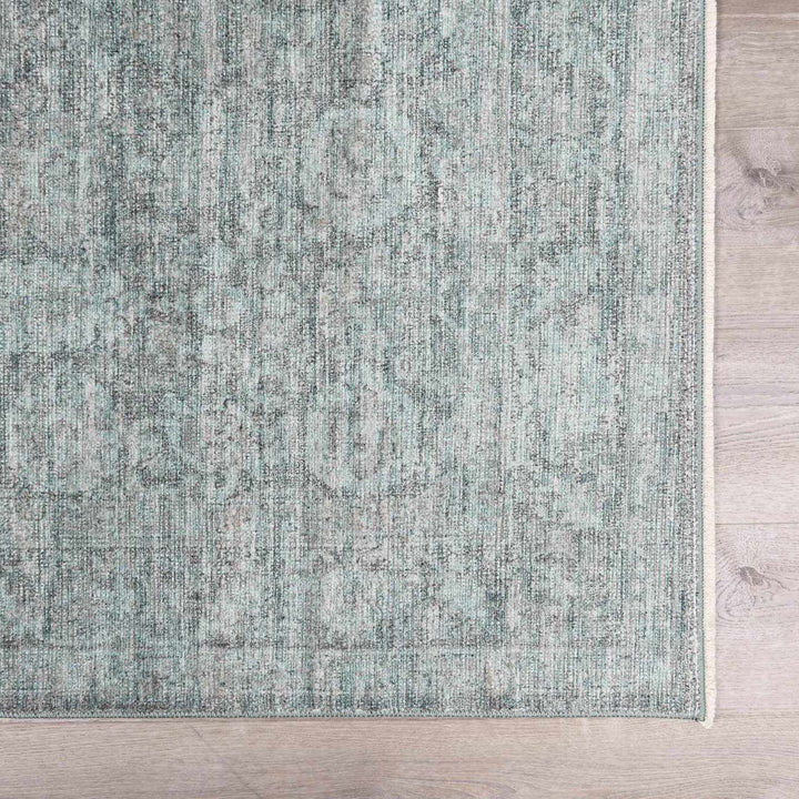 Aviana Traditional Style Gray Area Rug - The Rug Decor