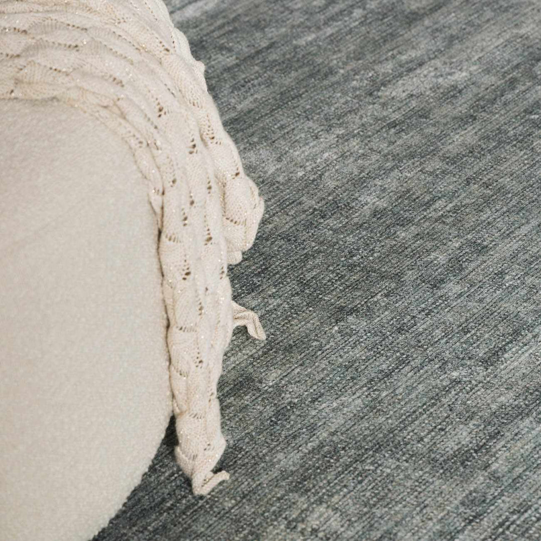 Aviana Traditional Style Gray Area Rug - The Rug Decor