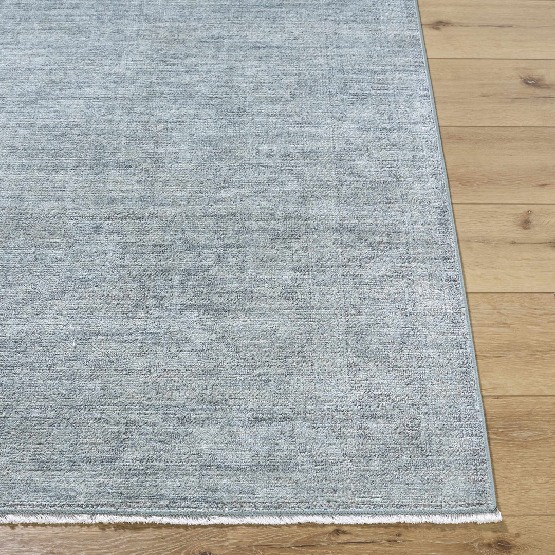 Aviana Traditional Style Gray Area Rug - The Rug Decor