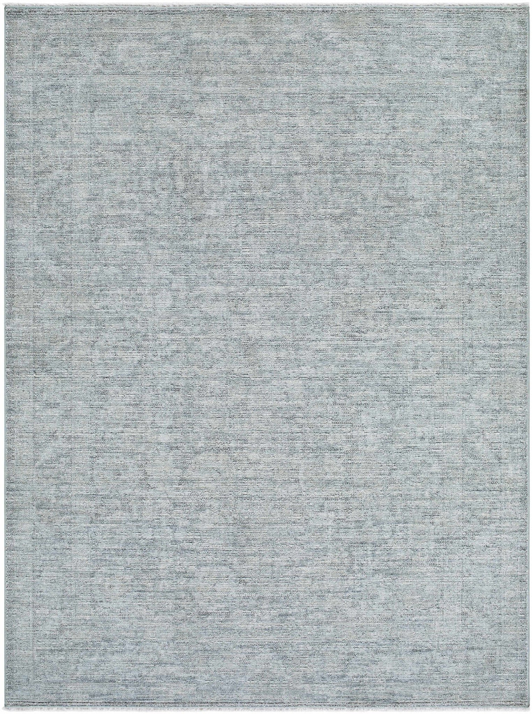 Aviana Traditional Style Gray Area Rug - The Rug Decor