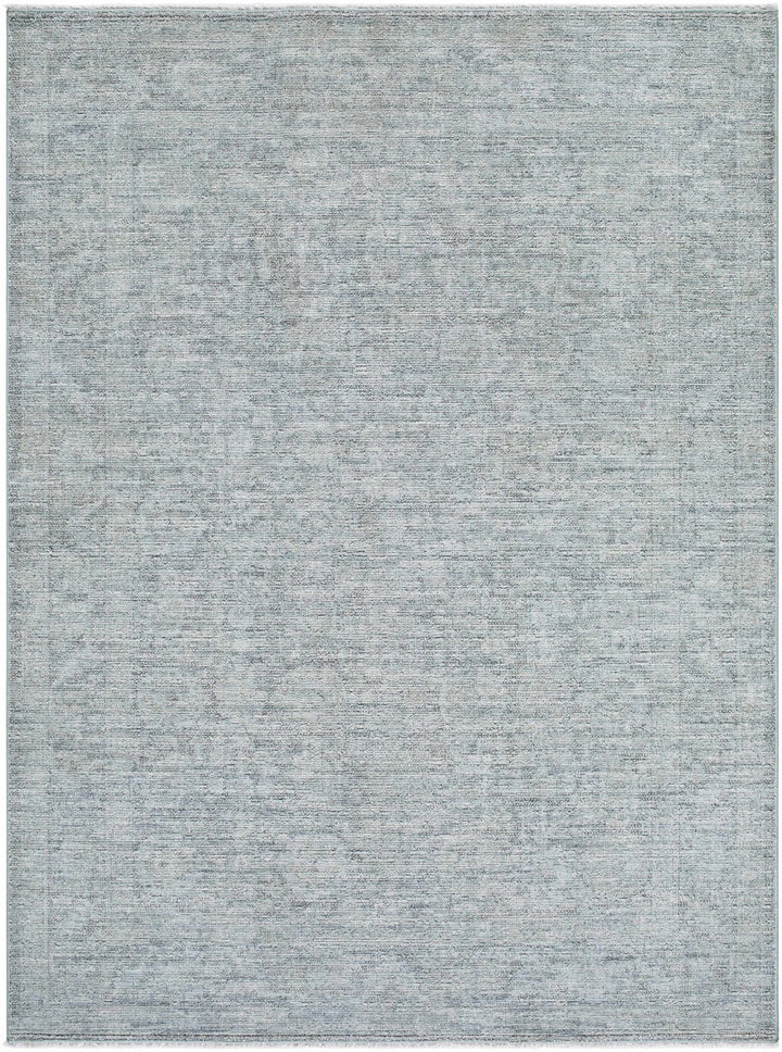 Aviana Traditional Style Gray Area Rug - The Rug Decor