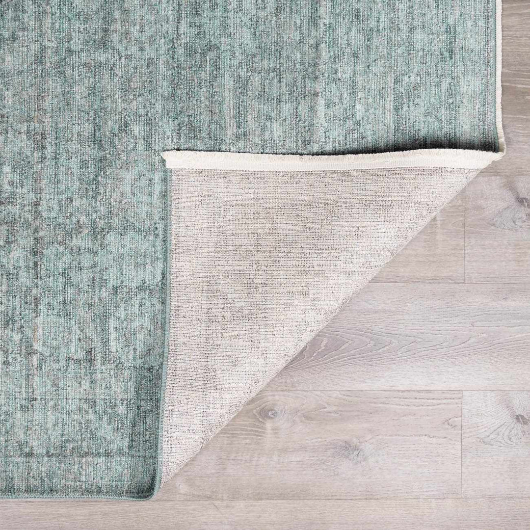 Aviana Traditional Style Gray Area Rug - The Rug Decor