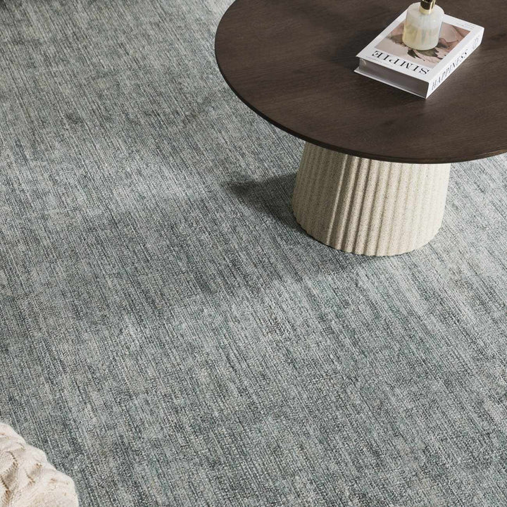 Aviana Traditional Style Gray Area Rug - The Rug Decor