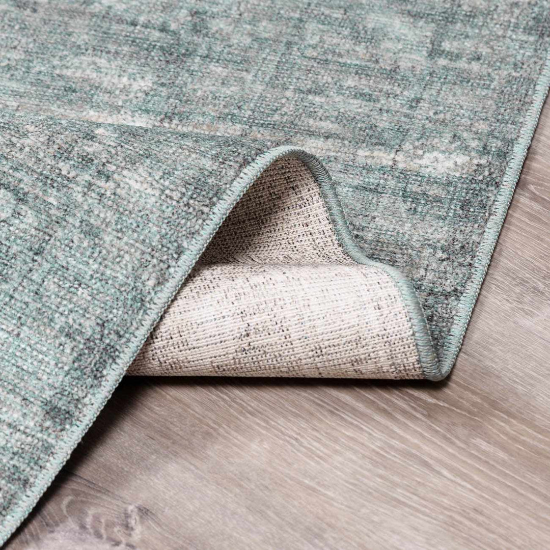 Aviana Traditional Style Gray Area Rug - The Rug Decor