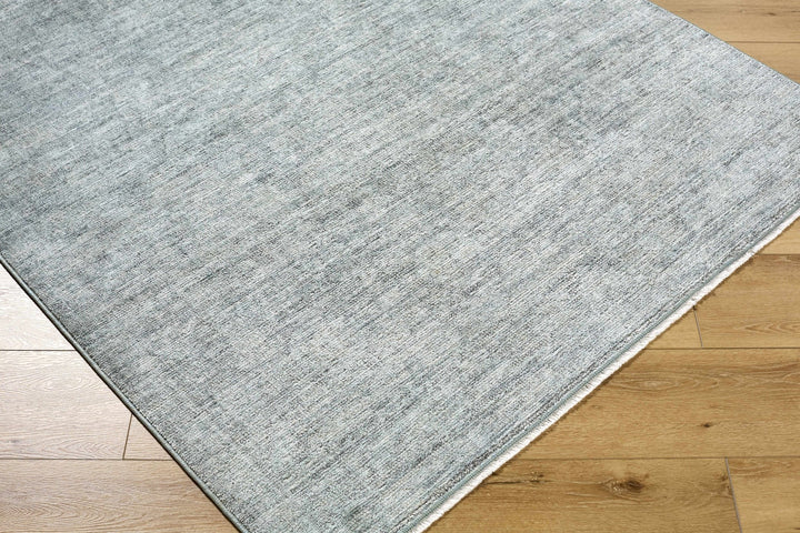 Aviana Traditional Style Gray Area Rug - The Rug Decor