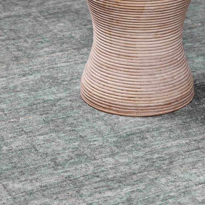 Aviana Traditional Style Gray Area Rug - The Rug Decor