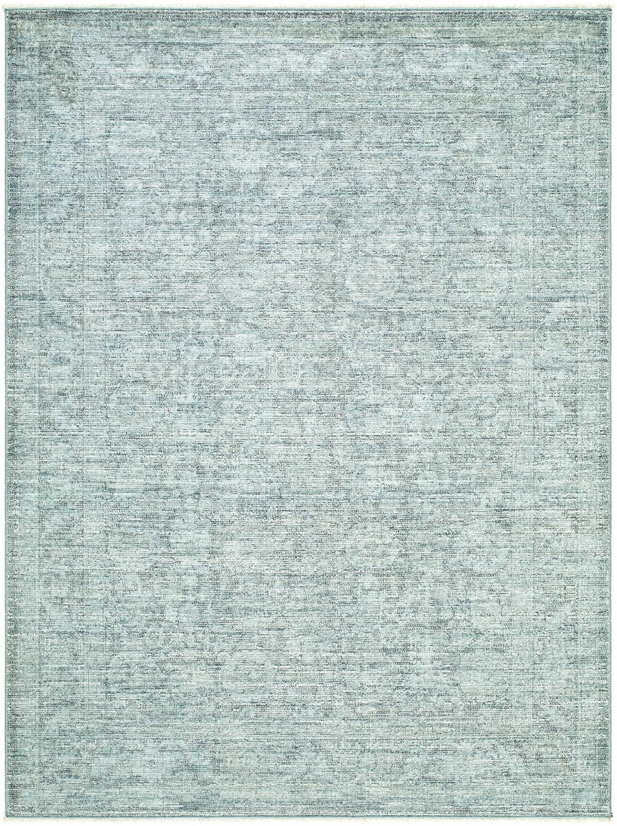 Aviana Traditional Style Gray Area Rug - The Rug Decor