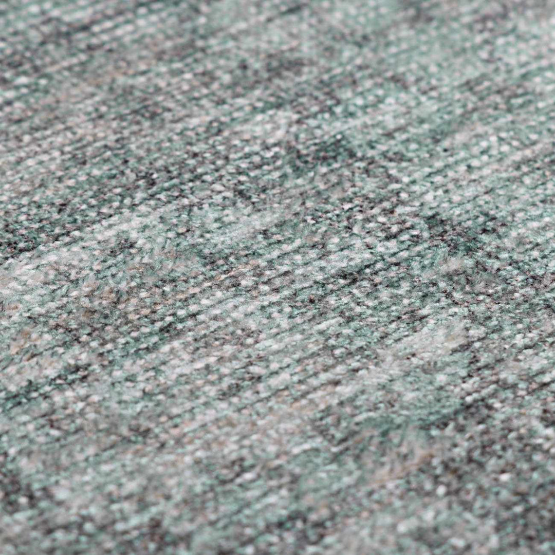 Aviana Traditional Style Gray Area Rug - The Rug Decor