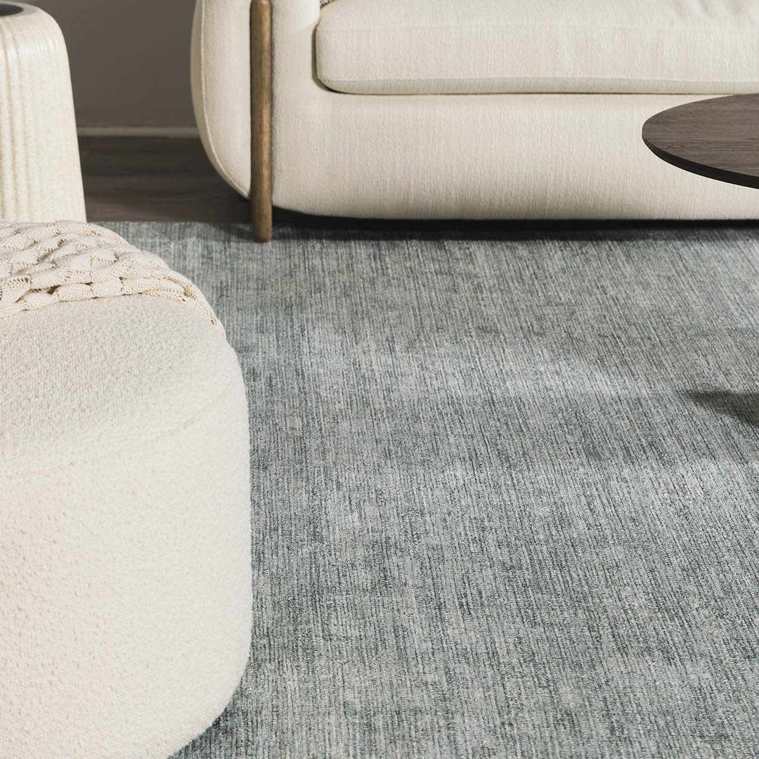 Aviana Traditional Style Gray Area Rug - The Rug Decor