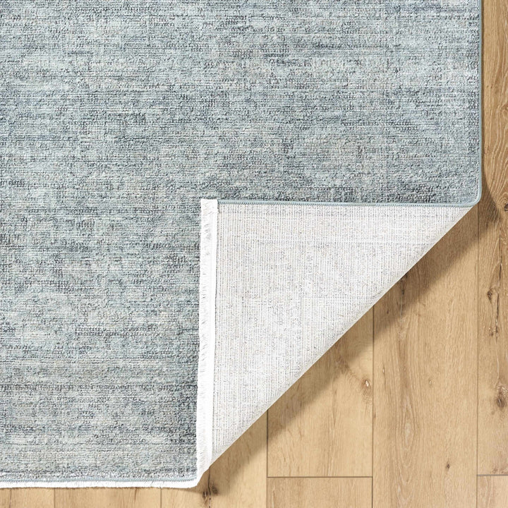 Aviana Traditional Style Gray Area Rug - The Rug Decor