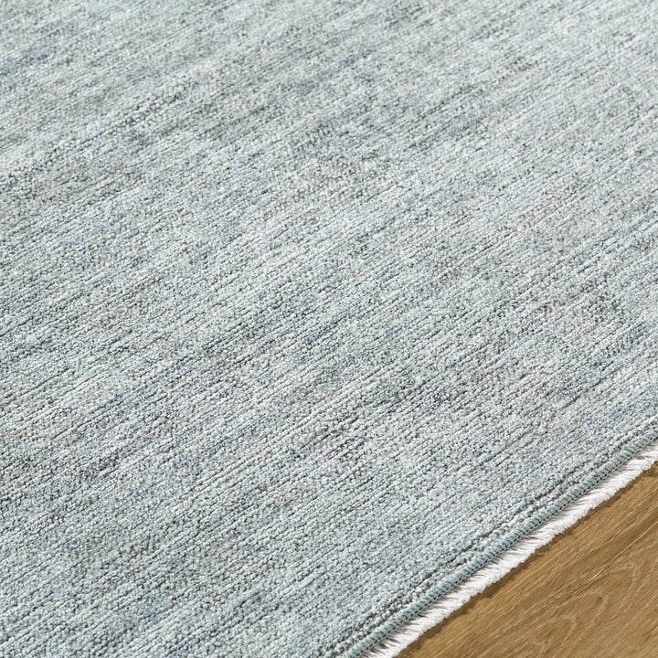 Aviana Traditional Style Gray Area Rug - The Rug Decor