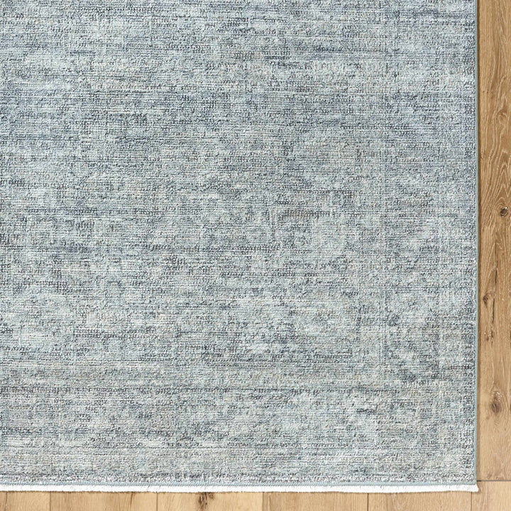 Aviana Traditional Style Gray Area Rug - The Rug Decor