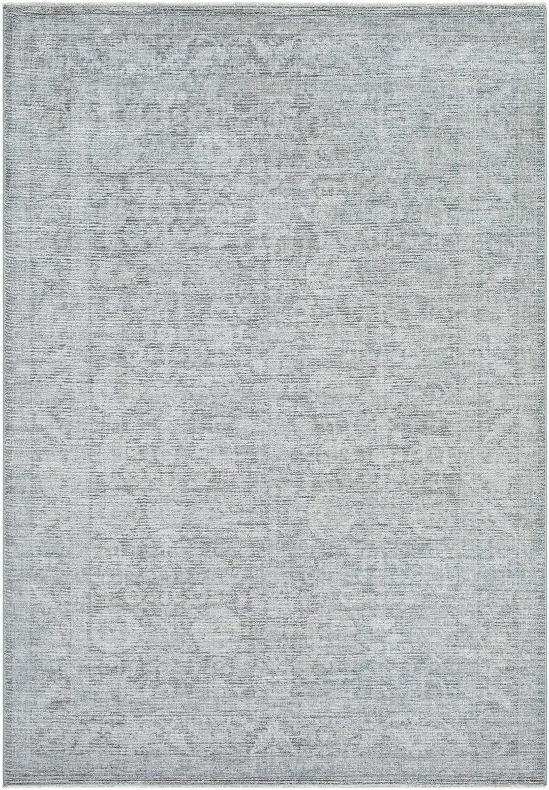 Aviana Traditional Style Gray Area Rug - The Rug Decor