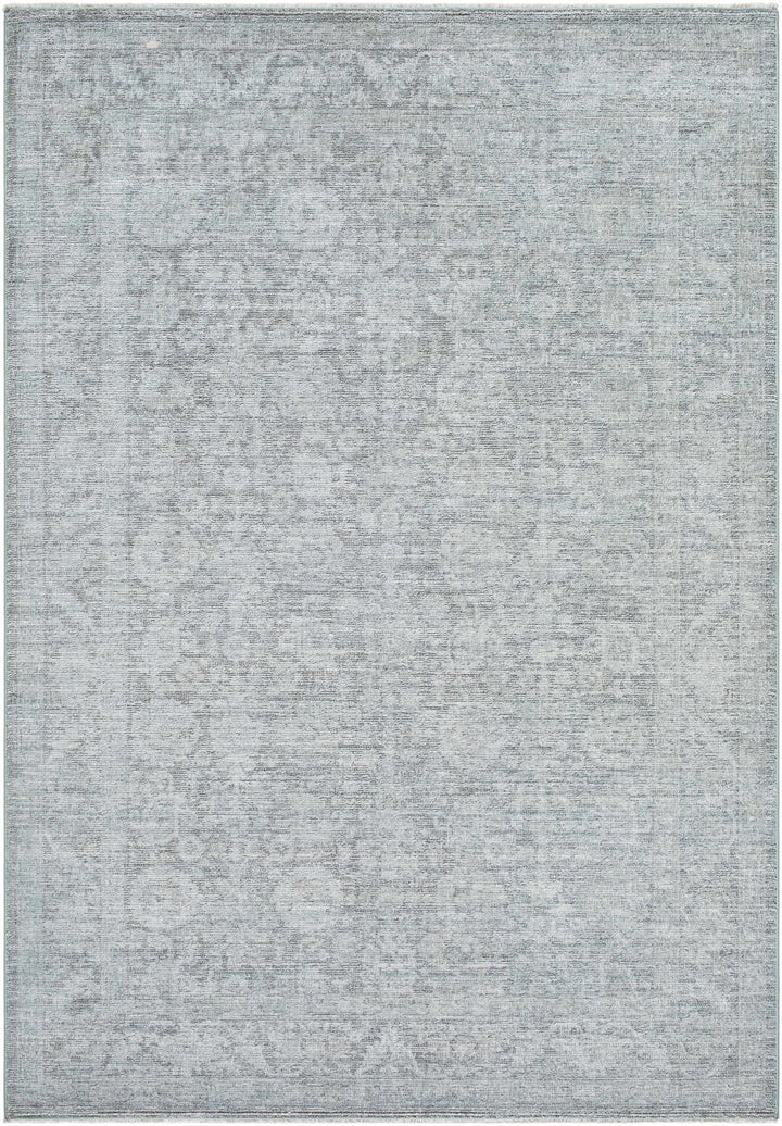 Aviana Traditional Style Gray Area Rug - The Rug Decor