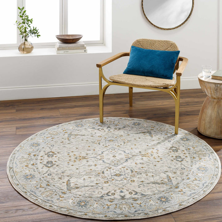 Aviva Traditional Style Ivory And Teal Area Rug - The Rug Decor