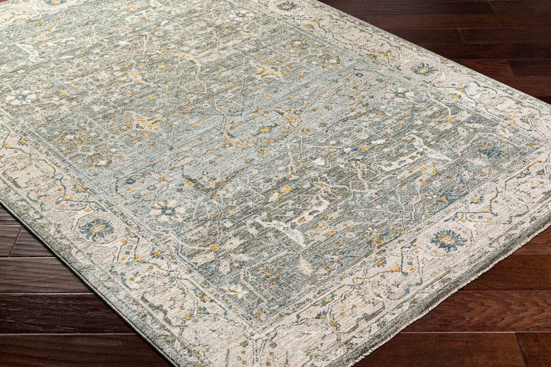 Aviva Traditional Style Teal And Green Area Rug - The Rug Decor