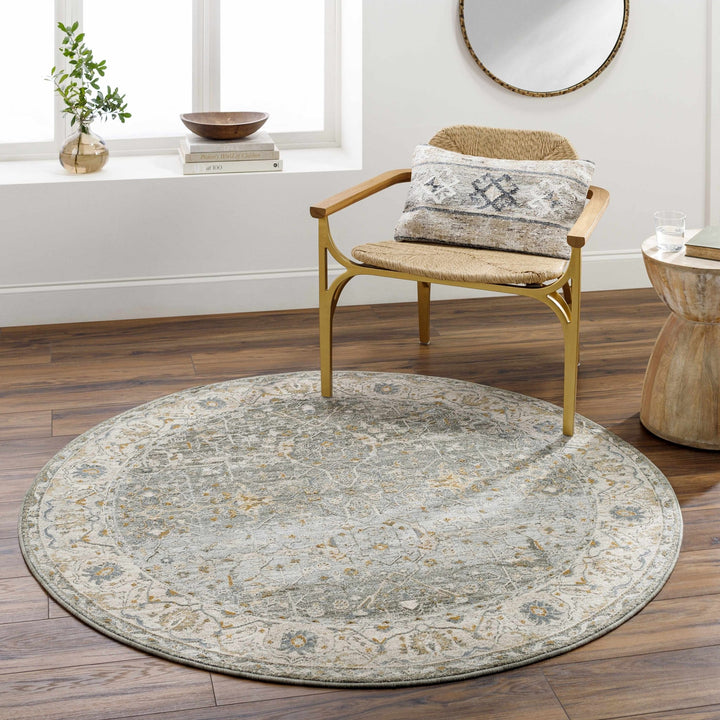 Aviva Traditional Style Teal And Green Area Rug - The Rug Decor