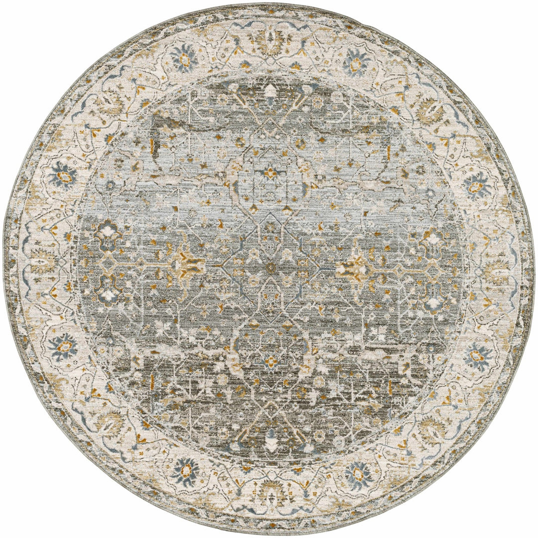 Aviva Traditional Style Teal And Green Area Rug - The Rug Decor