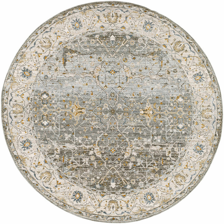 Aviva Traditional Style Teal And Green Area Rug - The Rug Decor