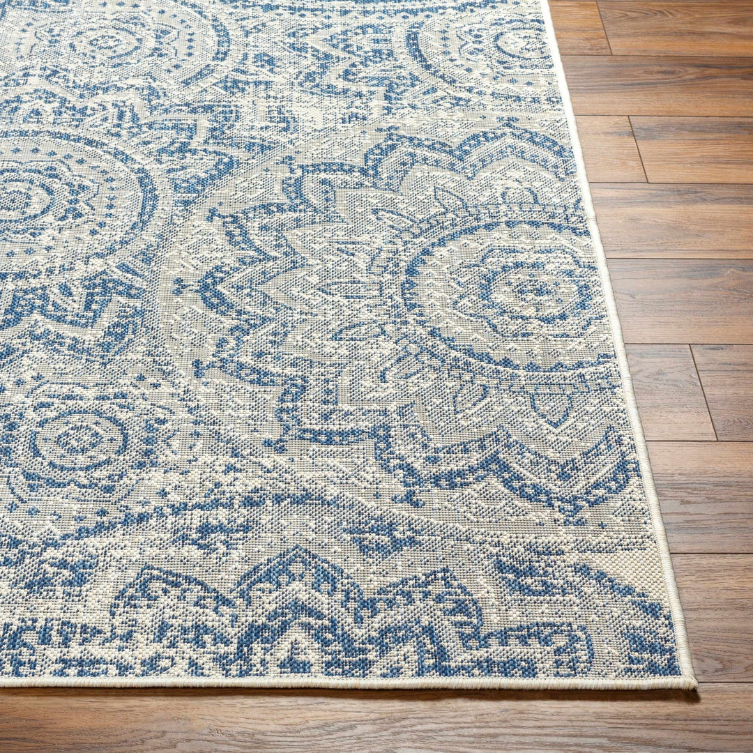 Ayala Traditional Style Blue And Beige Durable Outdoor Rug - The Rug Decor
