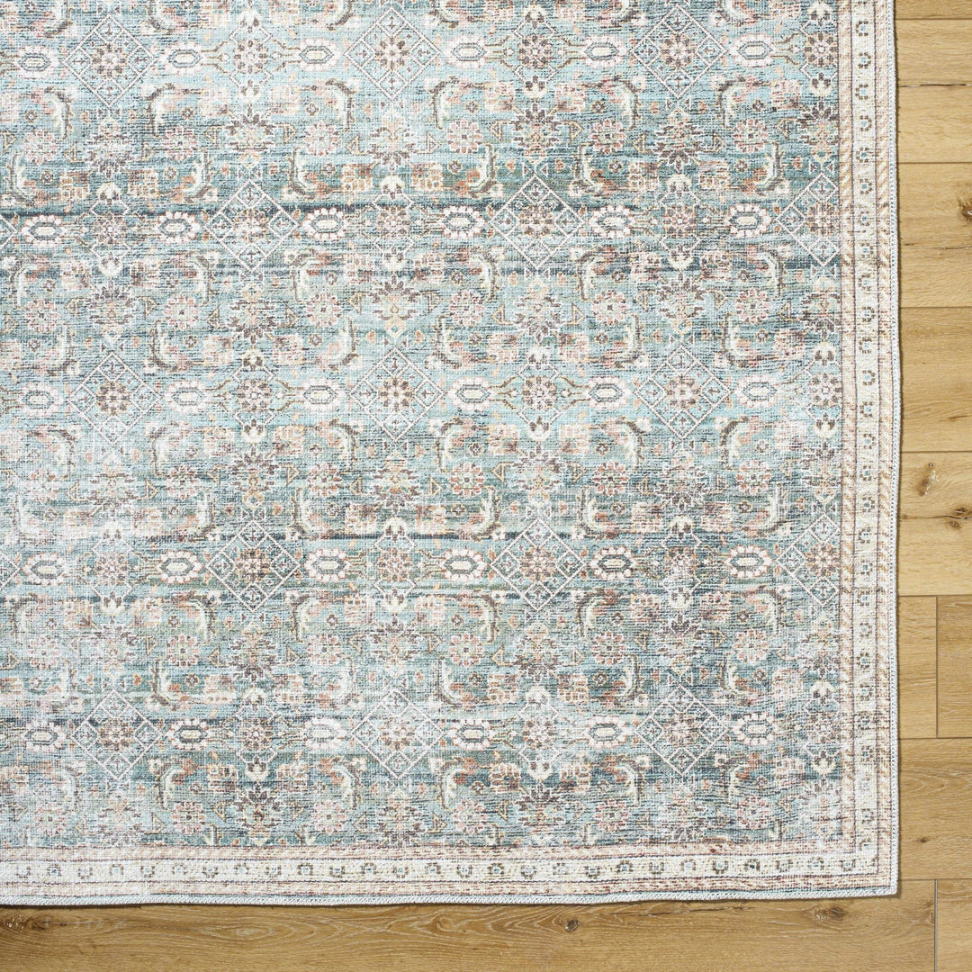 Ayanna Traditional Transitional Gray Washable Rug - The Rug Decor