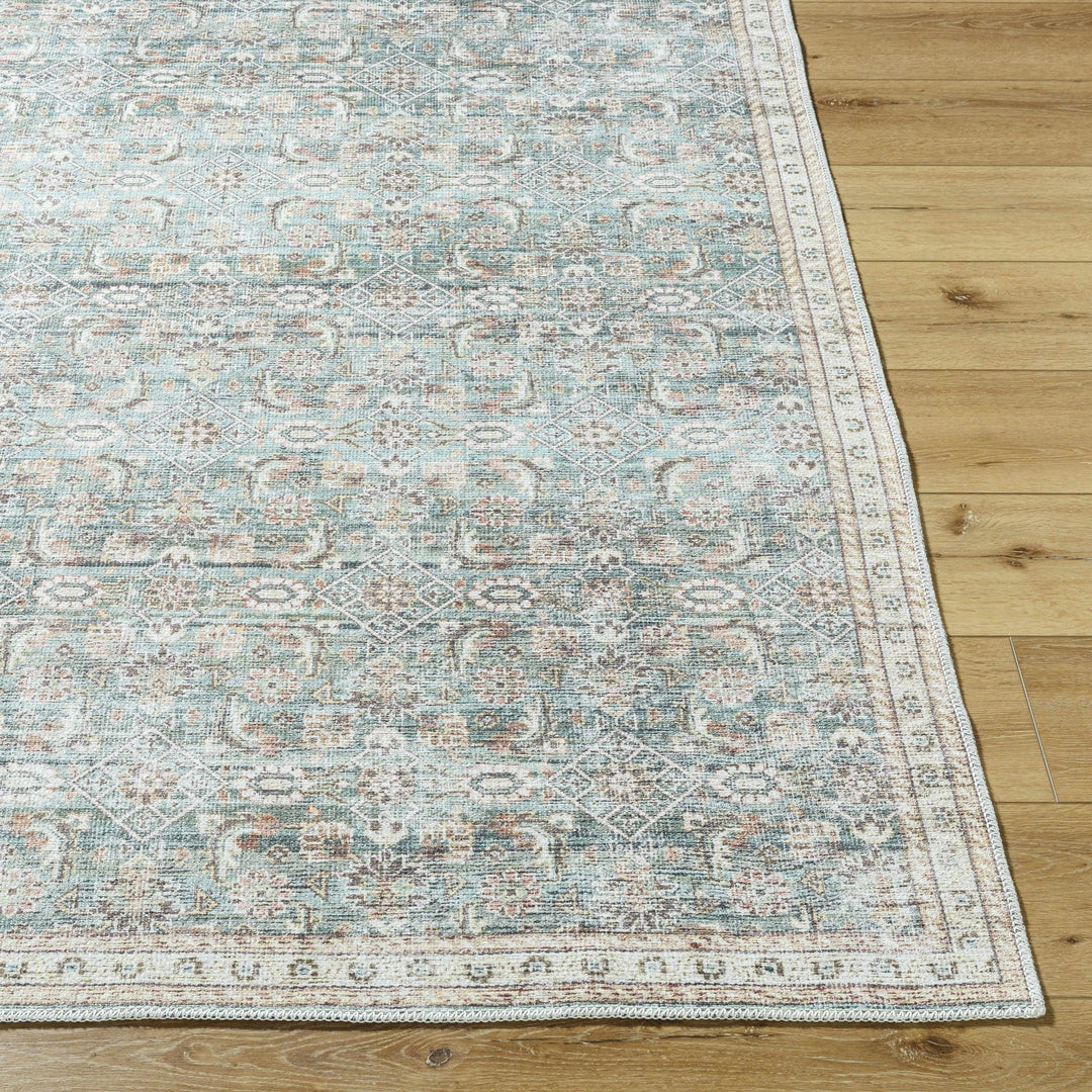 Ayanna Traditional Transitional Gray Washable Rug - The Rug Decor