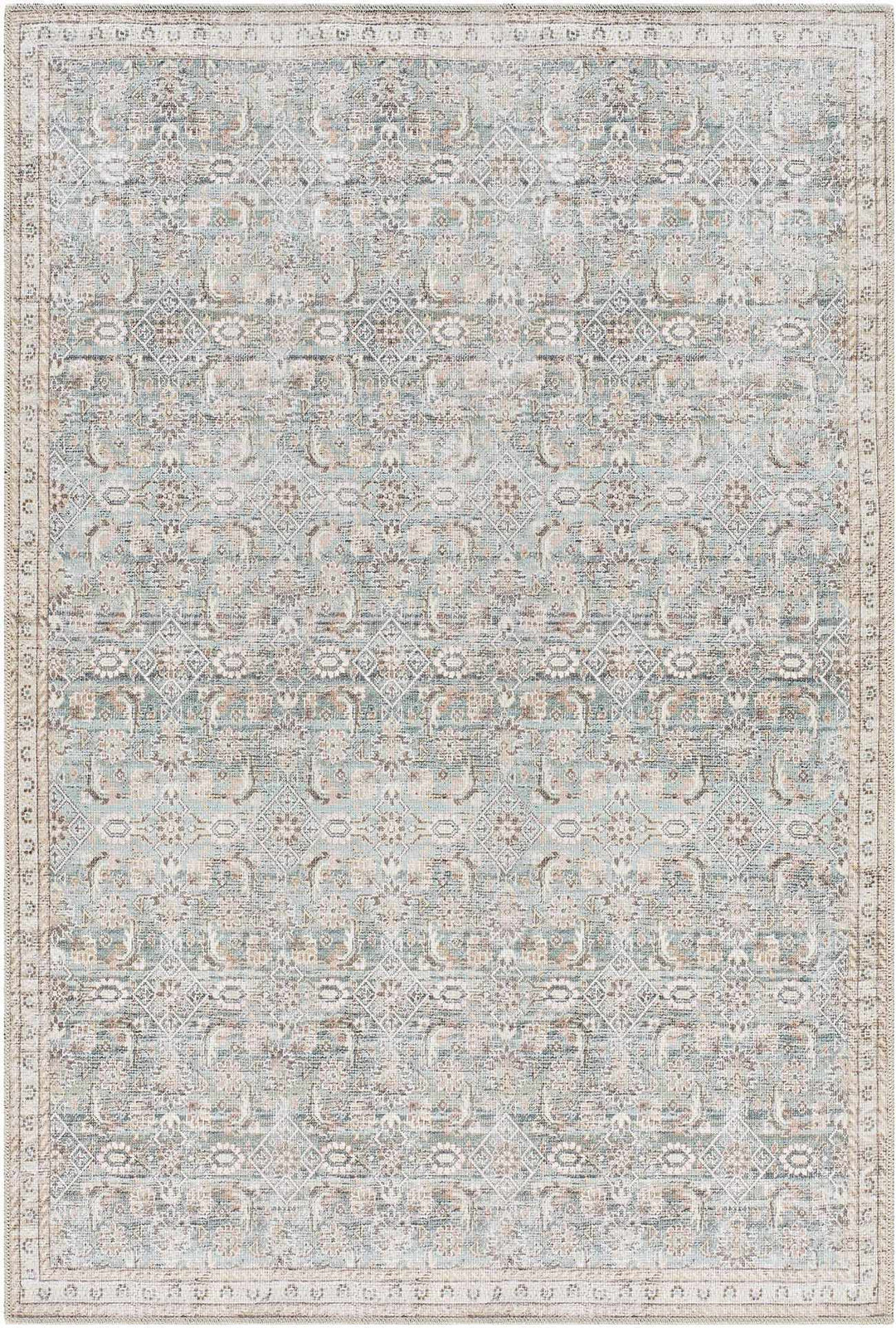 Ayanna Traditional Transitional Gray Washable Rug - The Rug Decor