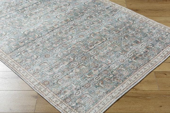 Ayanna Traditional Transitional Gray Washable Rug - The Rug Decor