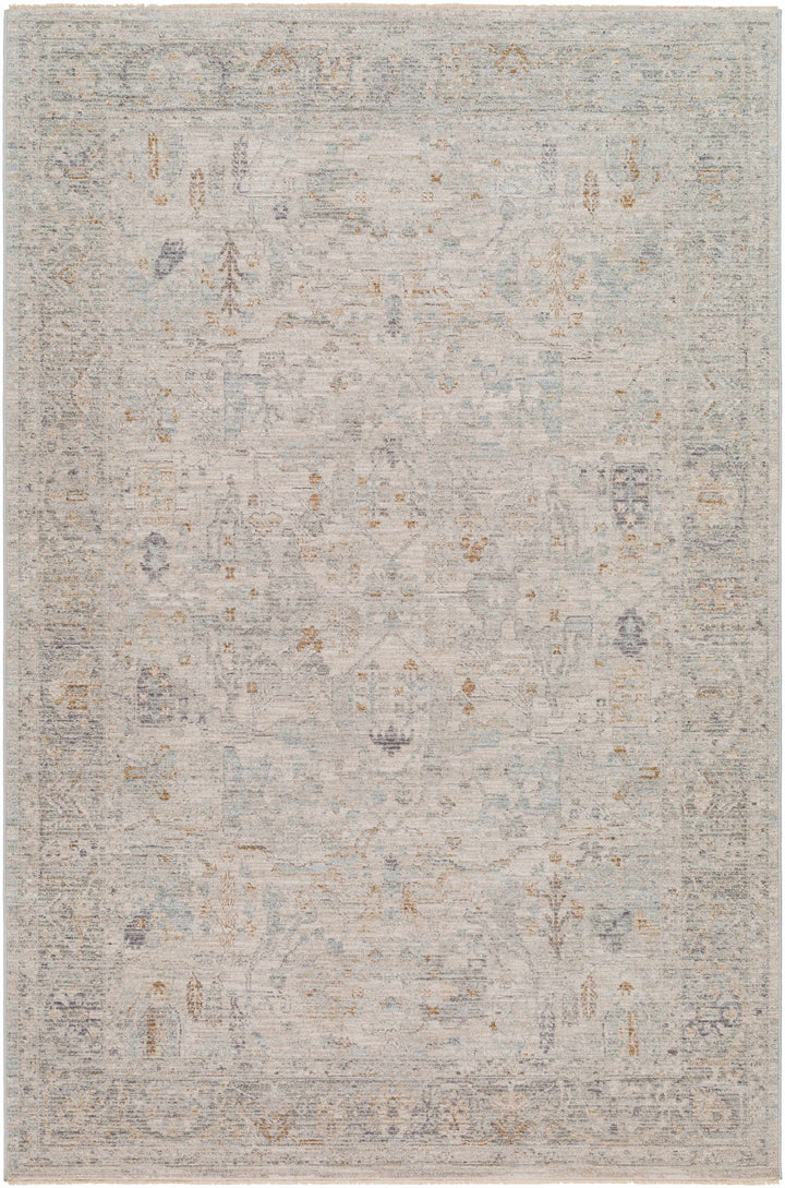 Ayarn Traditional Style Beige And Gray Area Rug