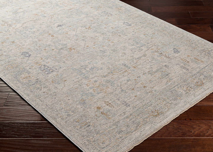 Ayarn Traditional Style Beige And Gray Area Rug