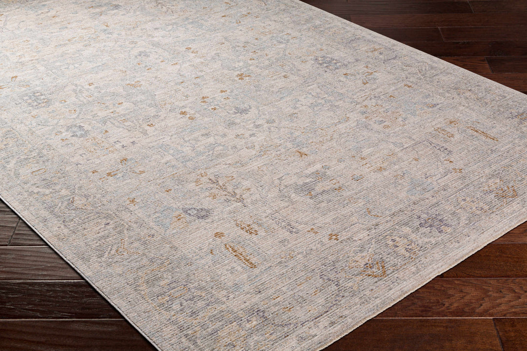 Ayarn Traditional Style Beige And Gray Area Rug