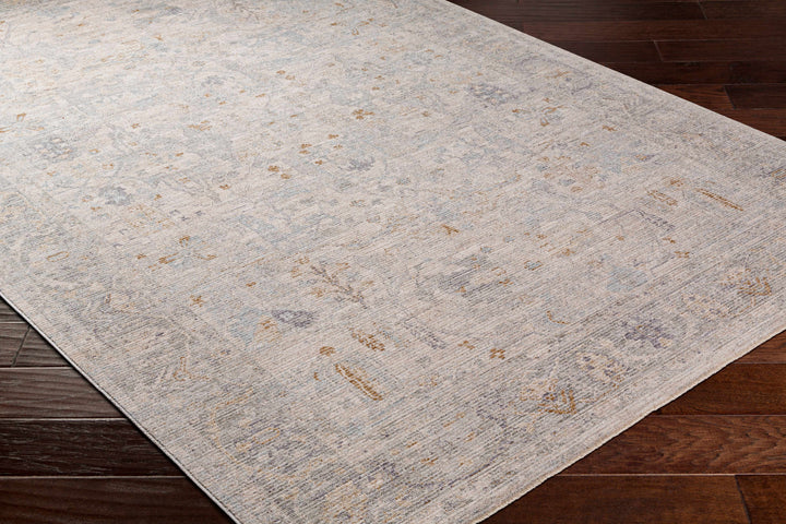 Ayarn Traditional Style Beige And Gray Area Rug