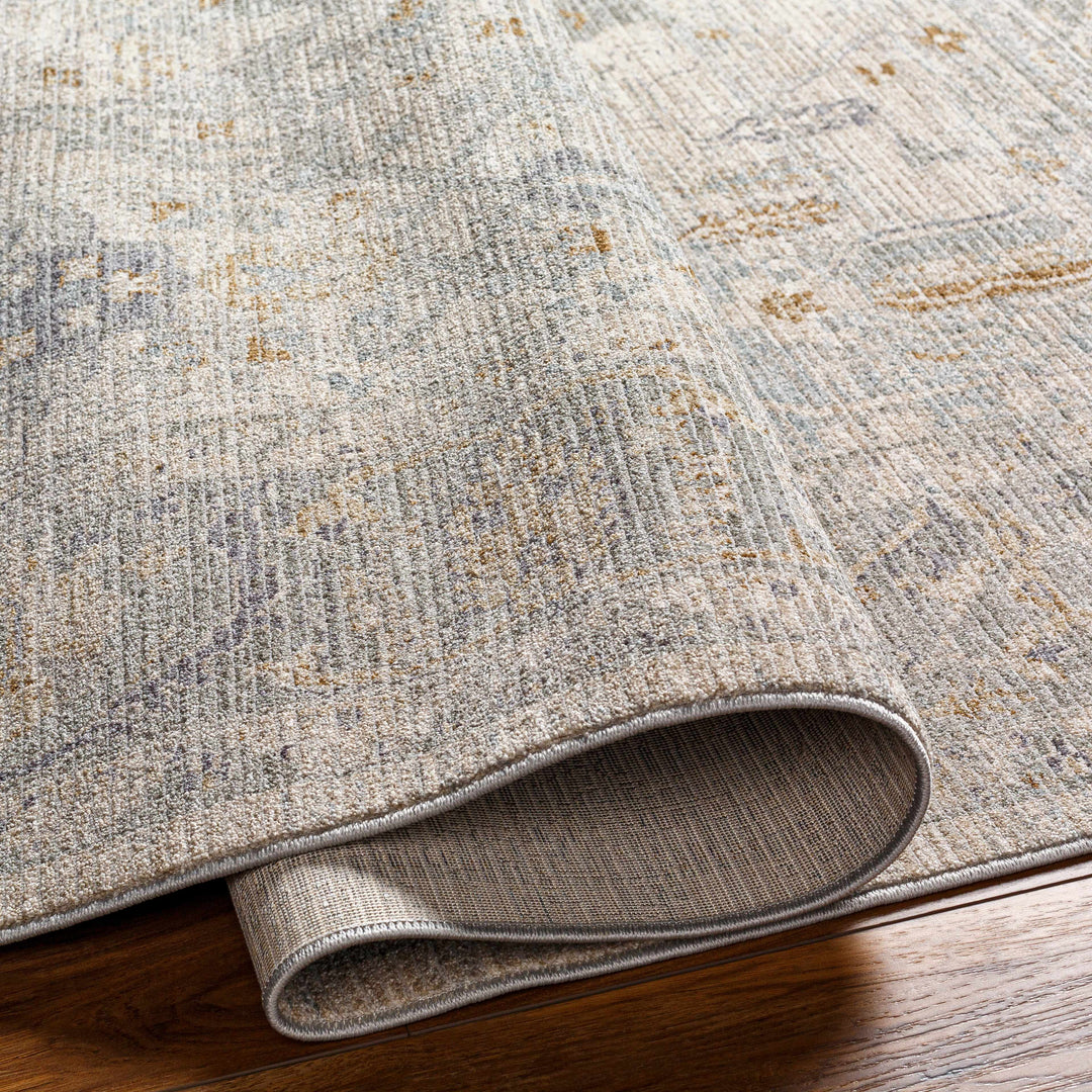 Ayarn Traditional Style Beige And Gray Area Rug