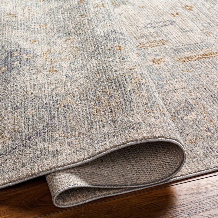 Ayarn Traditional Style Beige And Gray Area Rug