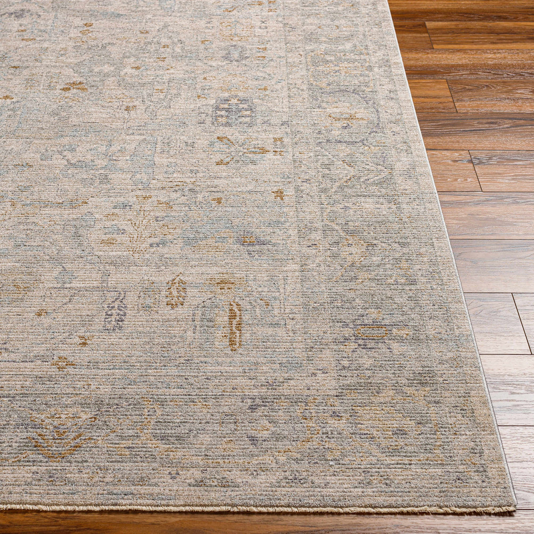 Ayarn Traditional Style Beige And Gray Area Rug